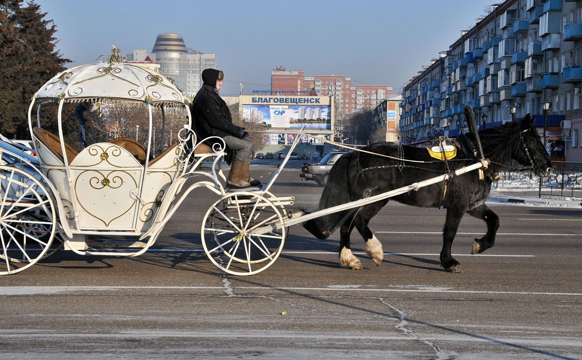 Тип кузова кареты где пассажиры сидят напротив. Карета Багратиона. Карета Дилижанс Петергоф. Фаэтон в России карета 19 век.
